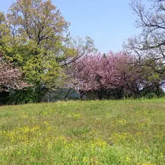 森寺城跡