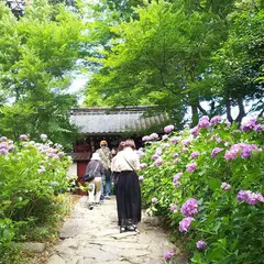 あじさい寺
