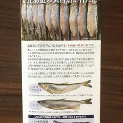 カネダイ大野商店