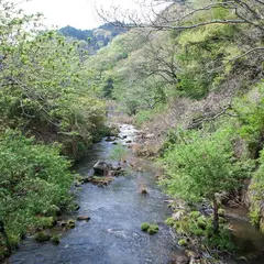 花貫ふるさと自然センター