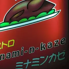 ミナミンカゼ