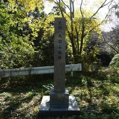 鳥羽山城跡