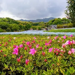 慈眼寺公園