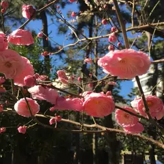 天澤山 麟祥院