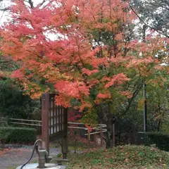 静岡県立森林公園 ビジターセンター