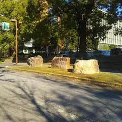 矢田第二公園