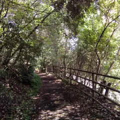 東山一万歩コース