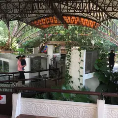 Snake Farm（スネーク・ファーム）