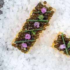 鎌倉古今 / Restaurant COCON