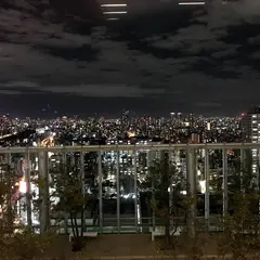 あべの橋駅（天王寺駅）（バス）（伊丹空港線・下り）