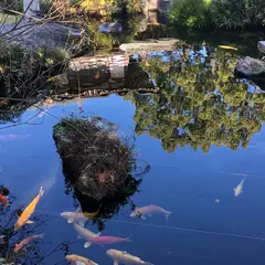 安楽寺