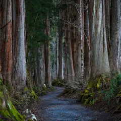 戸隠神社
