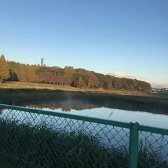 栃木県グリーンスタジアムメイングラウンド