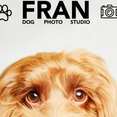 FRAN DOGPHOTOSTUDIO