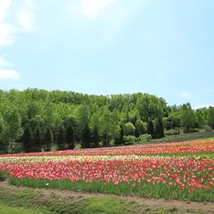 滝野すずらん丘陵公園