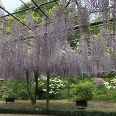 はままつフラワーパーク