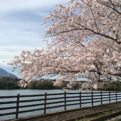 両ヶ池公園