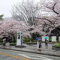 自働電話