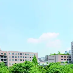 聖路加国際病院