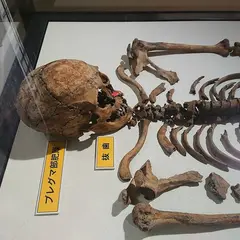 富山県埋蔵文化財センター