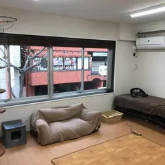 保護猫カフェ VELCAT 馬車道店
