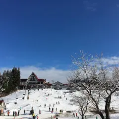 上越国際スキー場