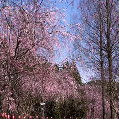 世羅甲山ふれあいの里
