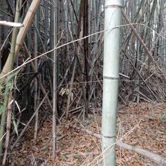 大和超昇寺城跡