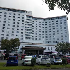 THE HAMANAKO