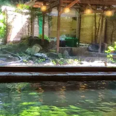 箱根ゲストハウス侍御宿 将軍献上の湯