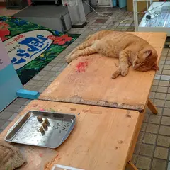 沖縄アート体験 美ら風