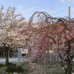 本地ヶ原神社