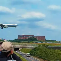 さくらの山公園