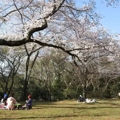 清水公園
