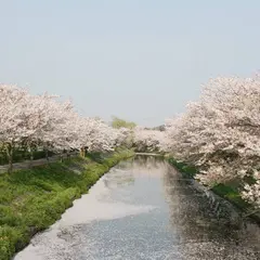 海老川ジョギングロード