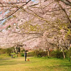 小見川城山公園