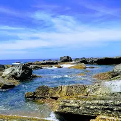 台東