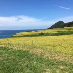 袖志の棚田