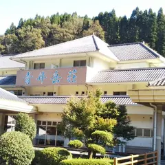 青井岳荘