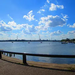 手賀沼公園