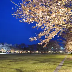 忠元公園
