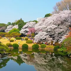 落合中央公園 野球場・庭球場