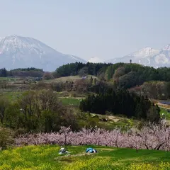 丹霞郷