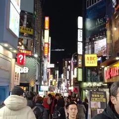 ヤングレジデンスホテル明洞