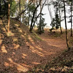 児山城跡