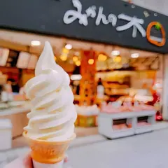 えひめ果実倶楽部みかんの木