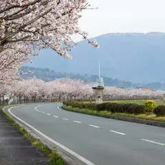 風車街道
