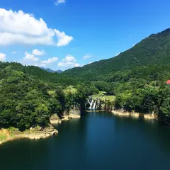 すきむらんど
