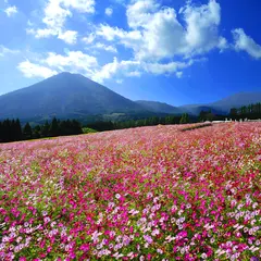 生駒高原