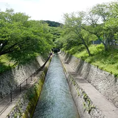 琵琶湖疏水